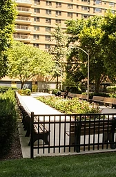 The Grounds