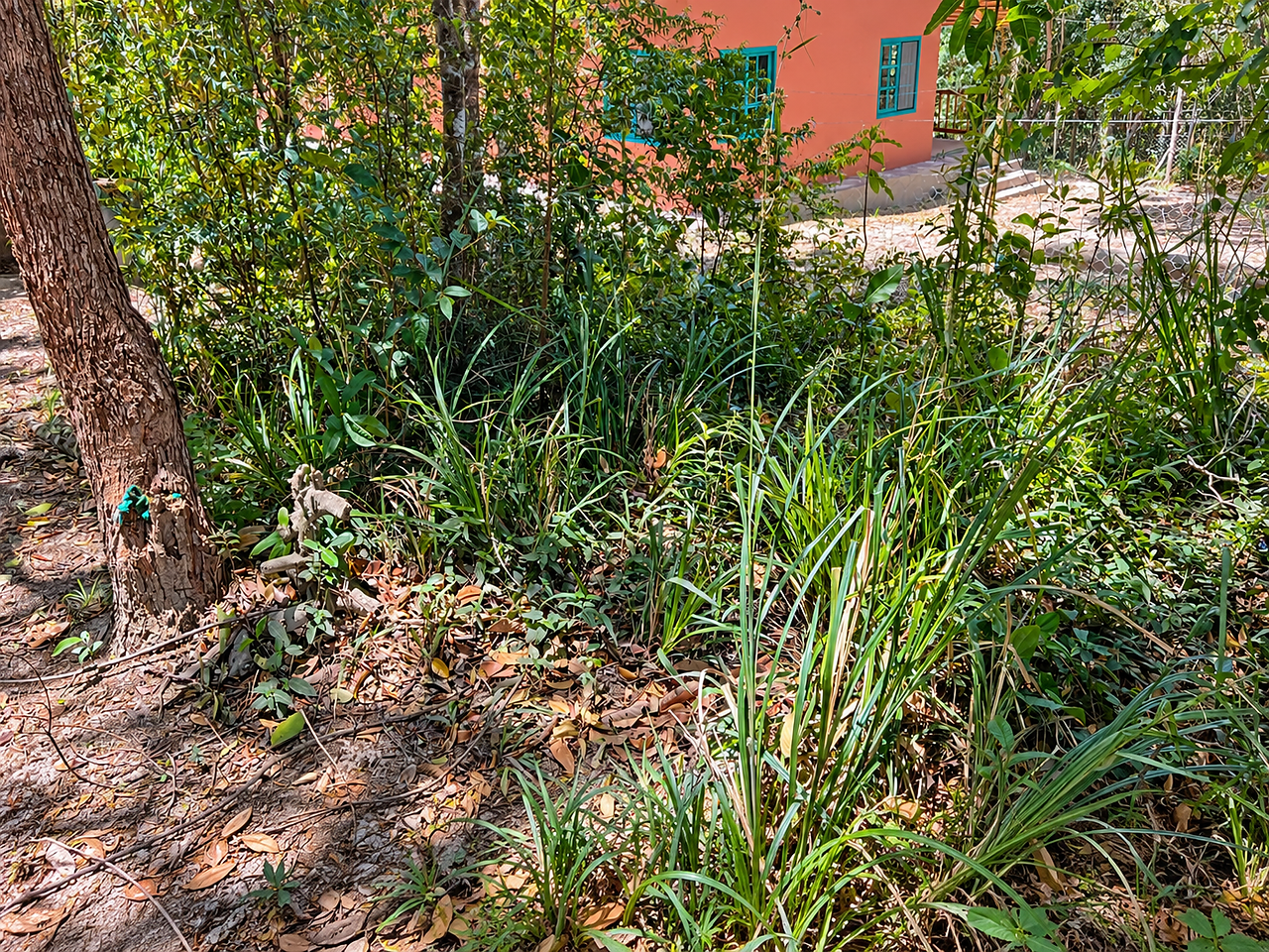 Casa Chamego — foto 17