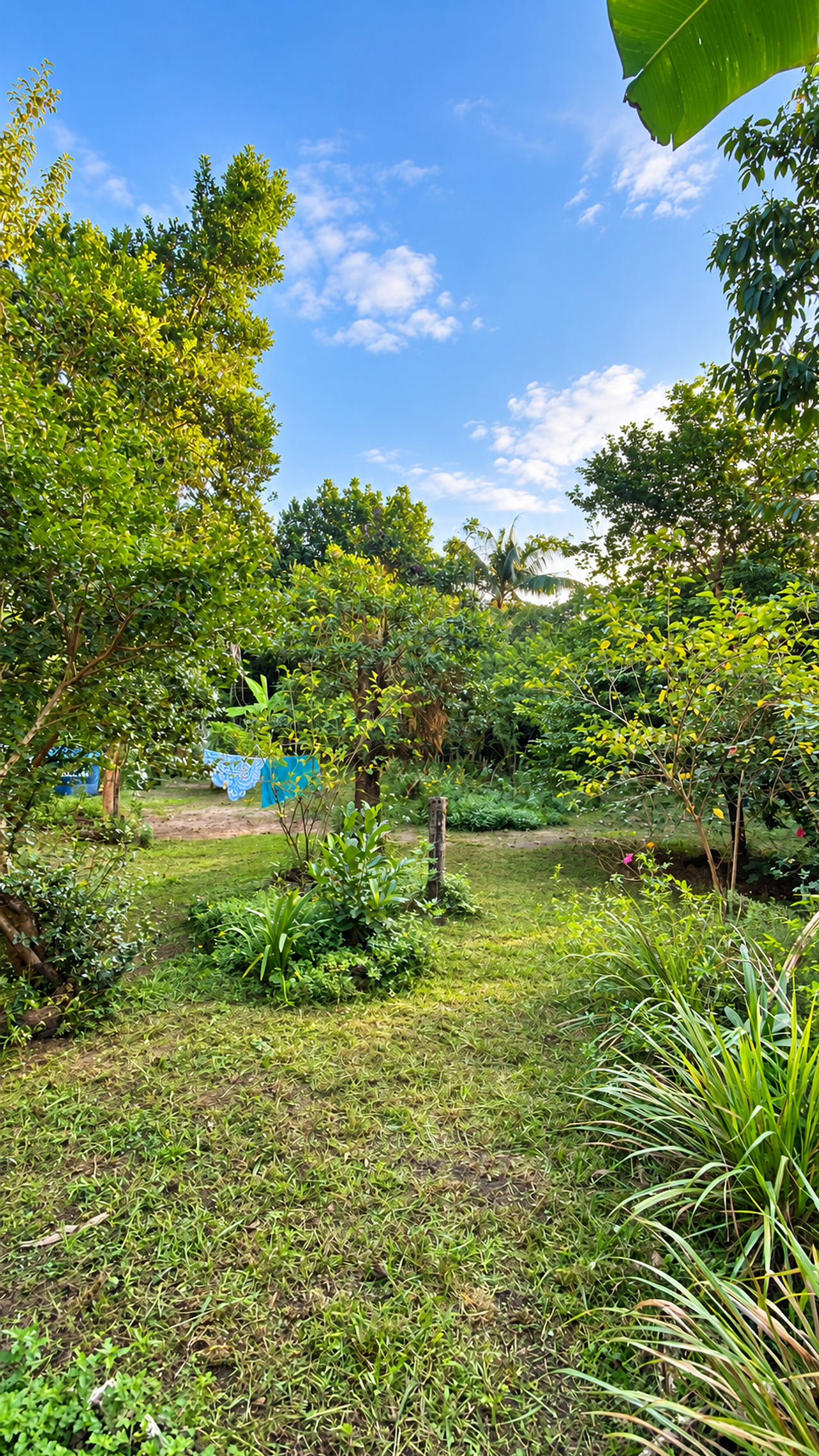 Casa Três Reis Magos — foto 4