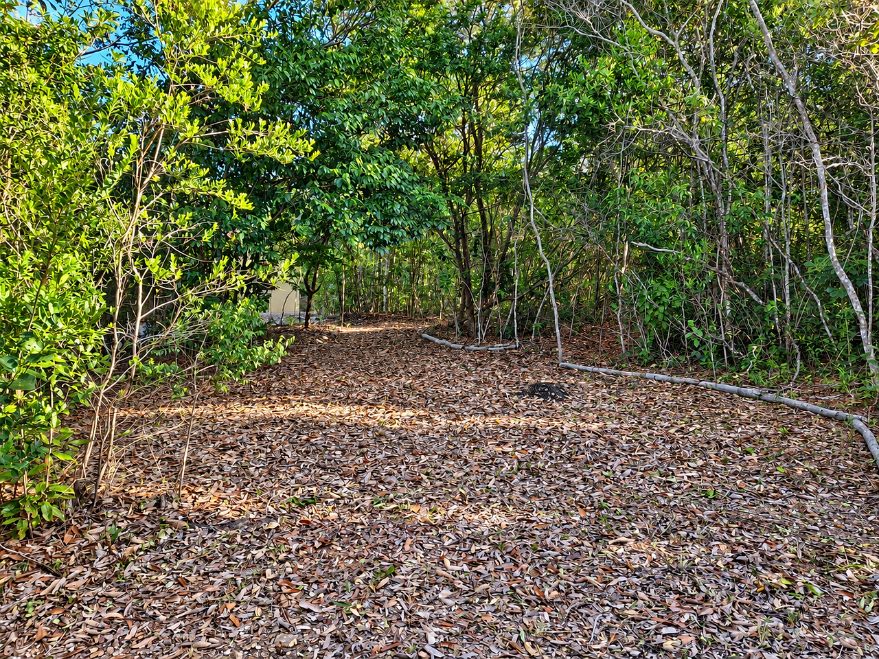Santuário Natural no Riachinho | Vale do Capão⁠ — foto 9