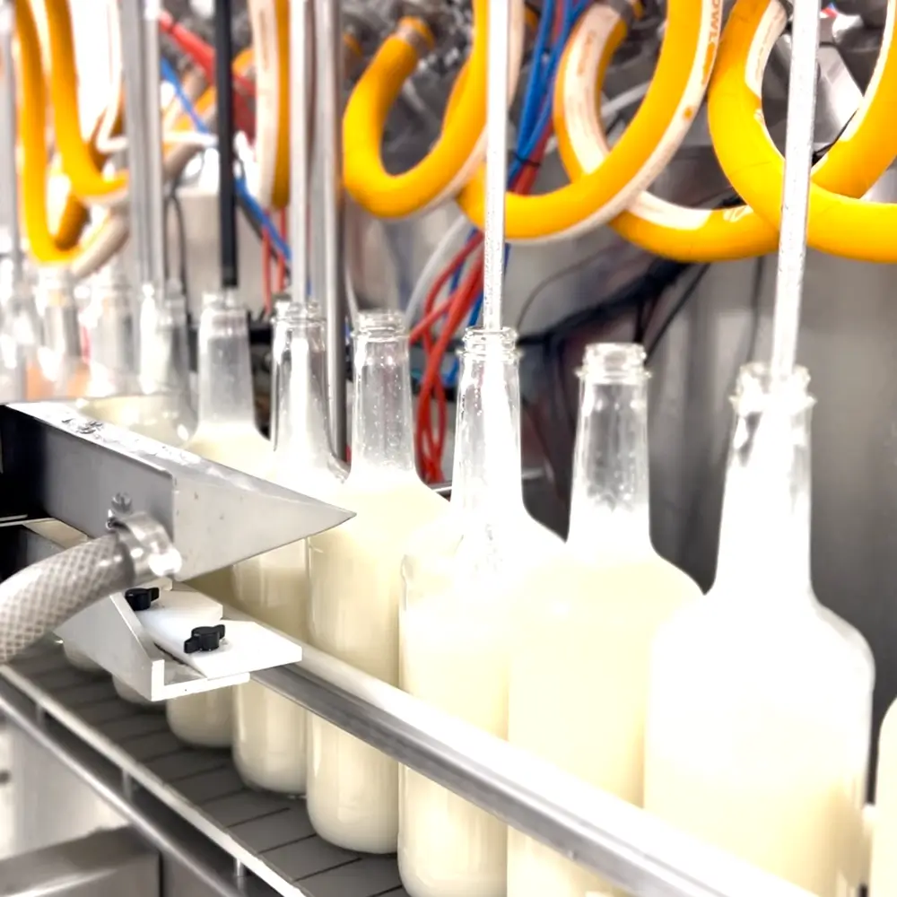 Frogmore bottling floor