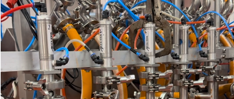 Dips production at Frogmore Bottling Company