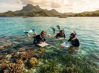 Nosy Be School Expedition
