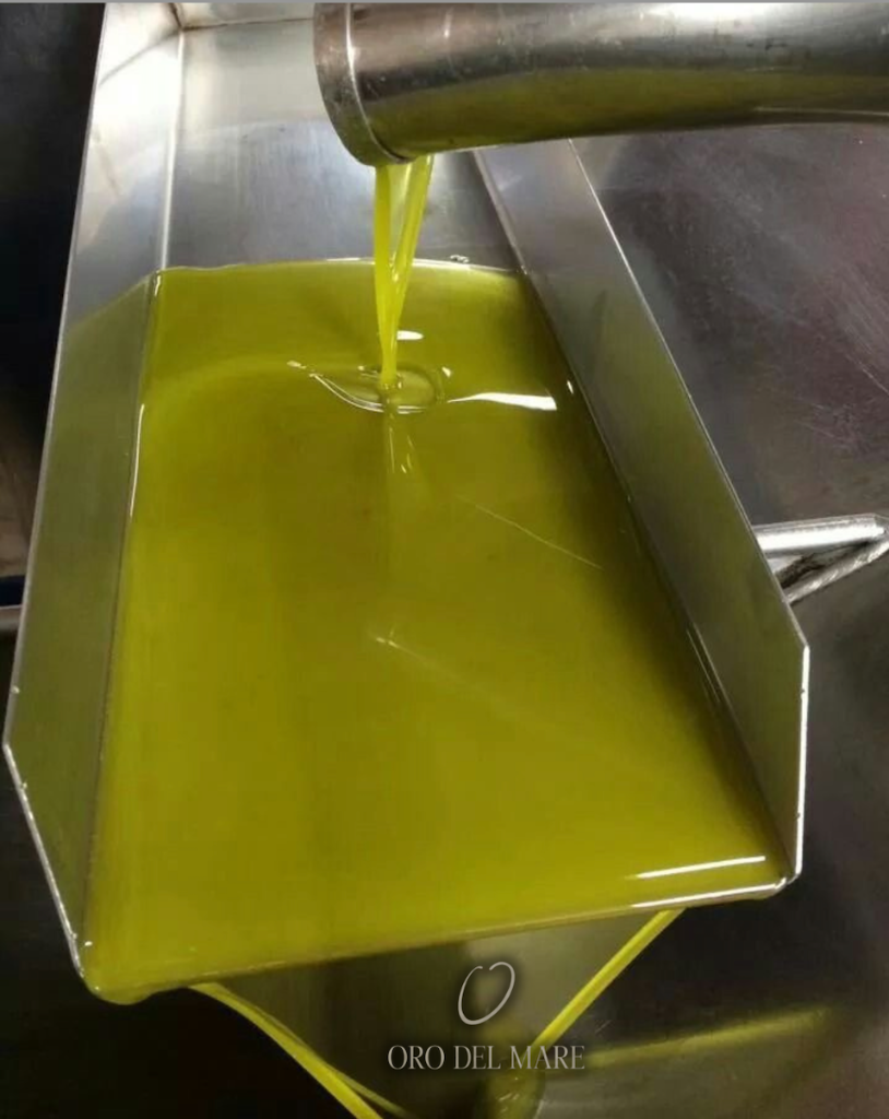 Fresh olive oil pouring from the extractor