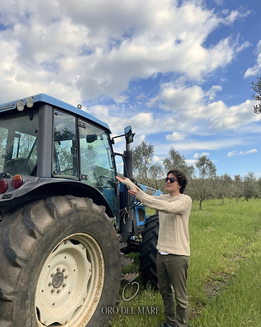 Monitoring the grove with a tractor