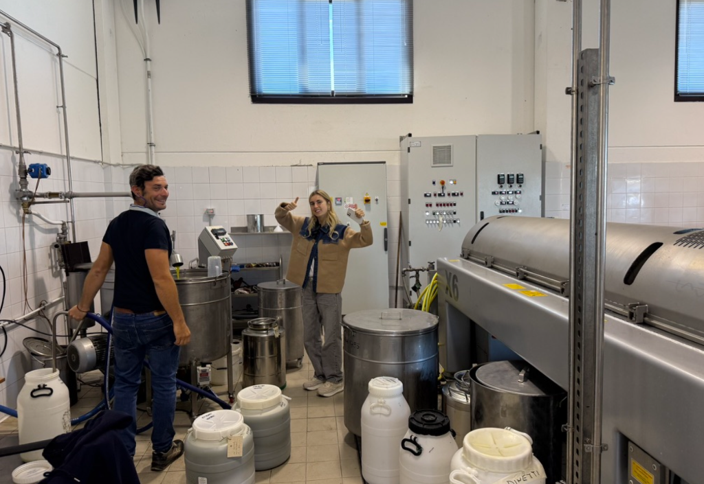 Inside the Capalbio olive mill with cold-extraction tanks