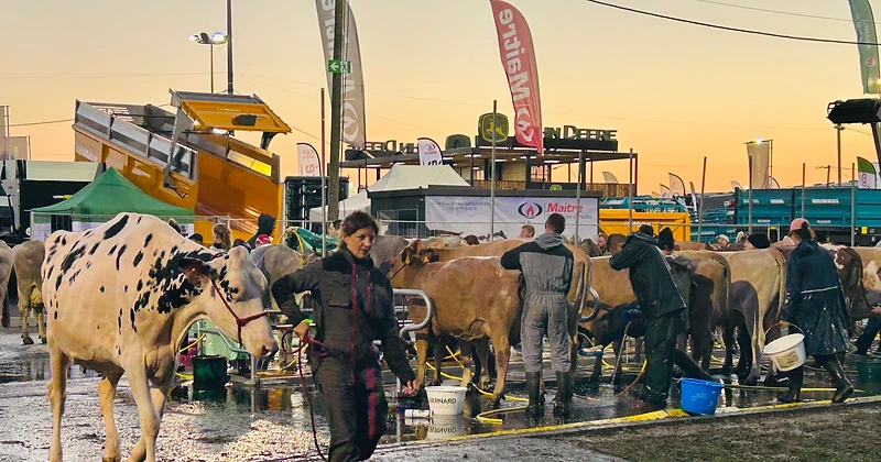 Concours agricole au crépuscule