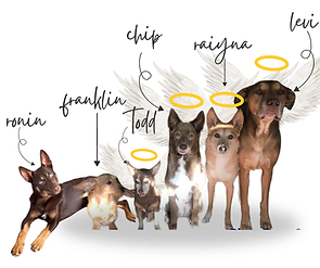 Wolfie's Wish Pet Loss Pawdcast — the crew