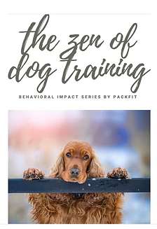 The Zen of Dog Training