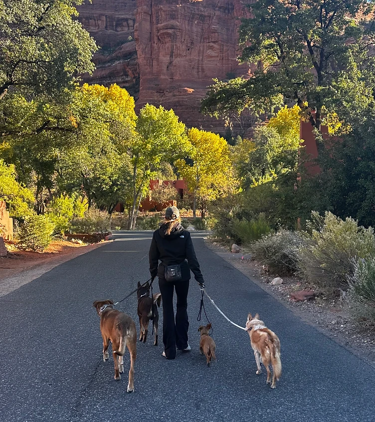 Kimberly Artley walking four dogs down a desert road in Sedona
