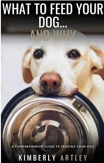 What to Feed Your Dog… and Why