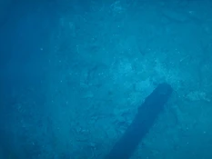A single dark corroded iron ingot resting on the sandy seabed at the Ontong Java wreck site