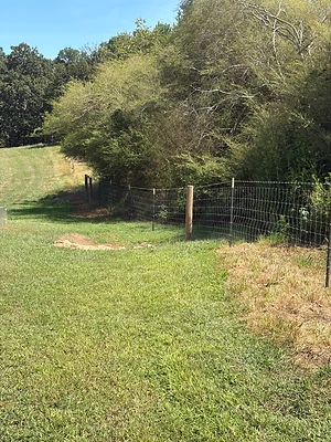 Woven Wire Along the Woodline
