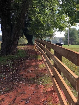 Three-Rail into the Woodline