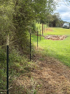 Field Fence and Rock Border