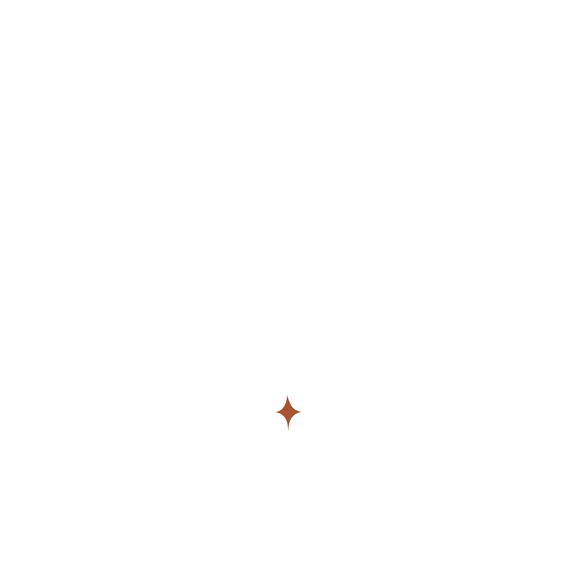 The Fence Guys