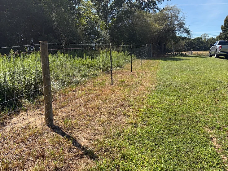 Farm & Agricultural Fencing