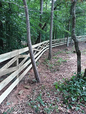 Rail Fence Through the Woods