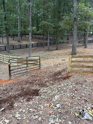 Post & Rail with Metal Gate