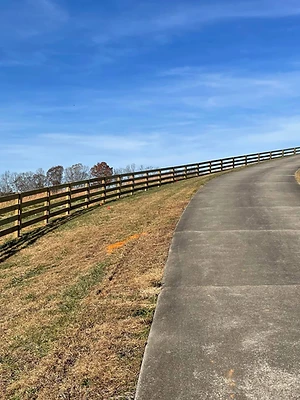 Rail Fence on the Drive