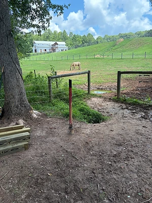 Post & Wire Pasture Line