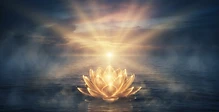 Enlightenment — The Path of Enlightenment