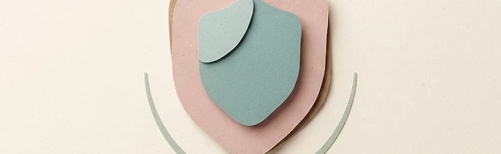 A calm, abstract shield — your information stays protected