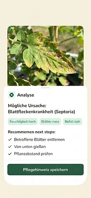 Beetoria – Plant Check