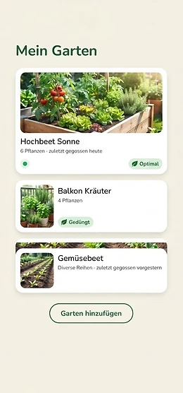 Beetoria App