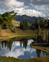 Landscape