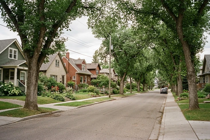 Quiet established Edmonton residential street with mature trees in summer