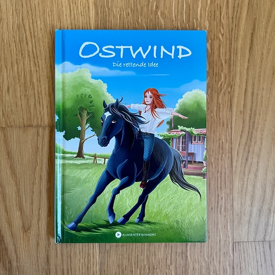 Ostwind - Die rettende Idee – Bild 1