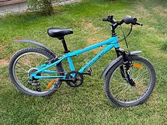 Leonard Fast Cat 20 Kinderfahrrad