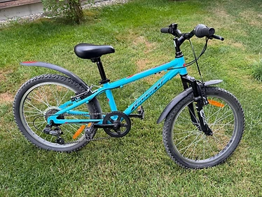 Leonard Fast Cat 20 Kinderfahrrad