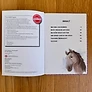 Schleich Horse Club: Mia traut sich (Buch für Leseanfänger) – Bild 3