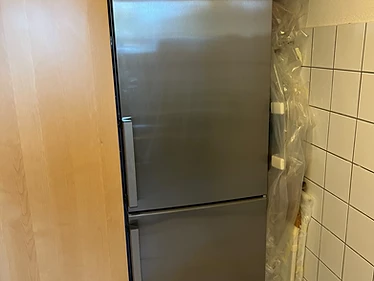 Gorenje Kühl-Gefrierkombination RK6192EX Edelstahl Top