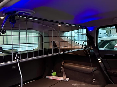 Travall Trenngitter für Renault Espace (ab 2015)