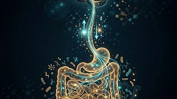 Scientific illustration of the gut-brain axis and its connection to systemic inflammation.