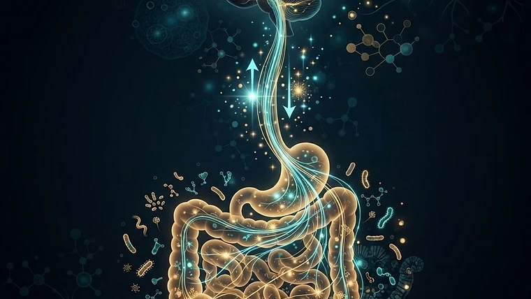 Scientific illustration of the gut-brain axis and its connection to systemic inflammation.