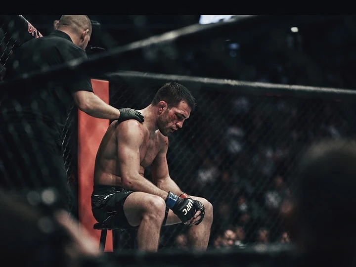 UFC Fight Night Surge — ufc trending news