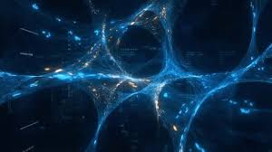 Neural network web