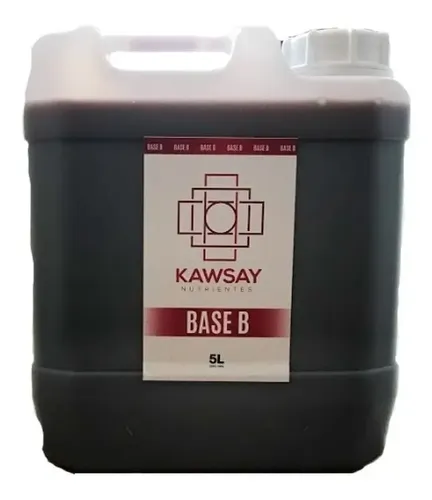 BASE B 5L · KAWSAY