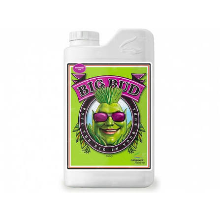 ADVANCED - BIG BUD 500 ML · ADVANCED