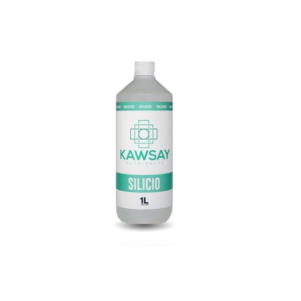 SILICIO (1L) · KAWSAY