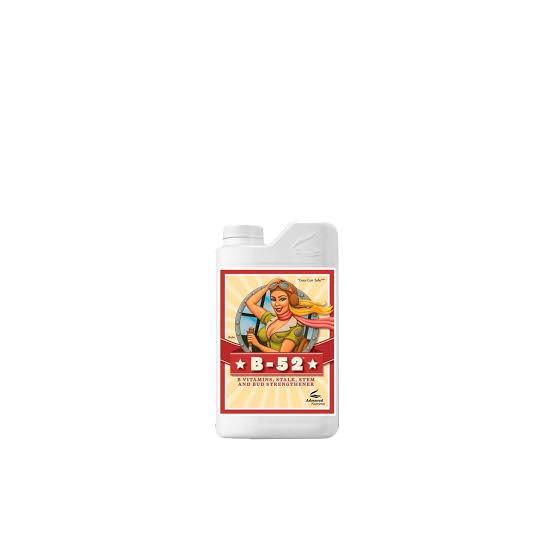 ADVANCED - B52 250 ML · ADVANCED