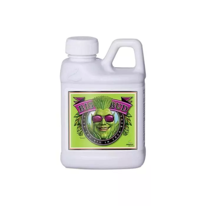 ADVANCED - BIG BUD 250 ML · ADVANCED