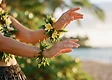 Introduction to Hula Hands