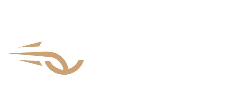 TERO Logo