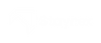 Staynex