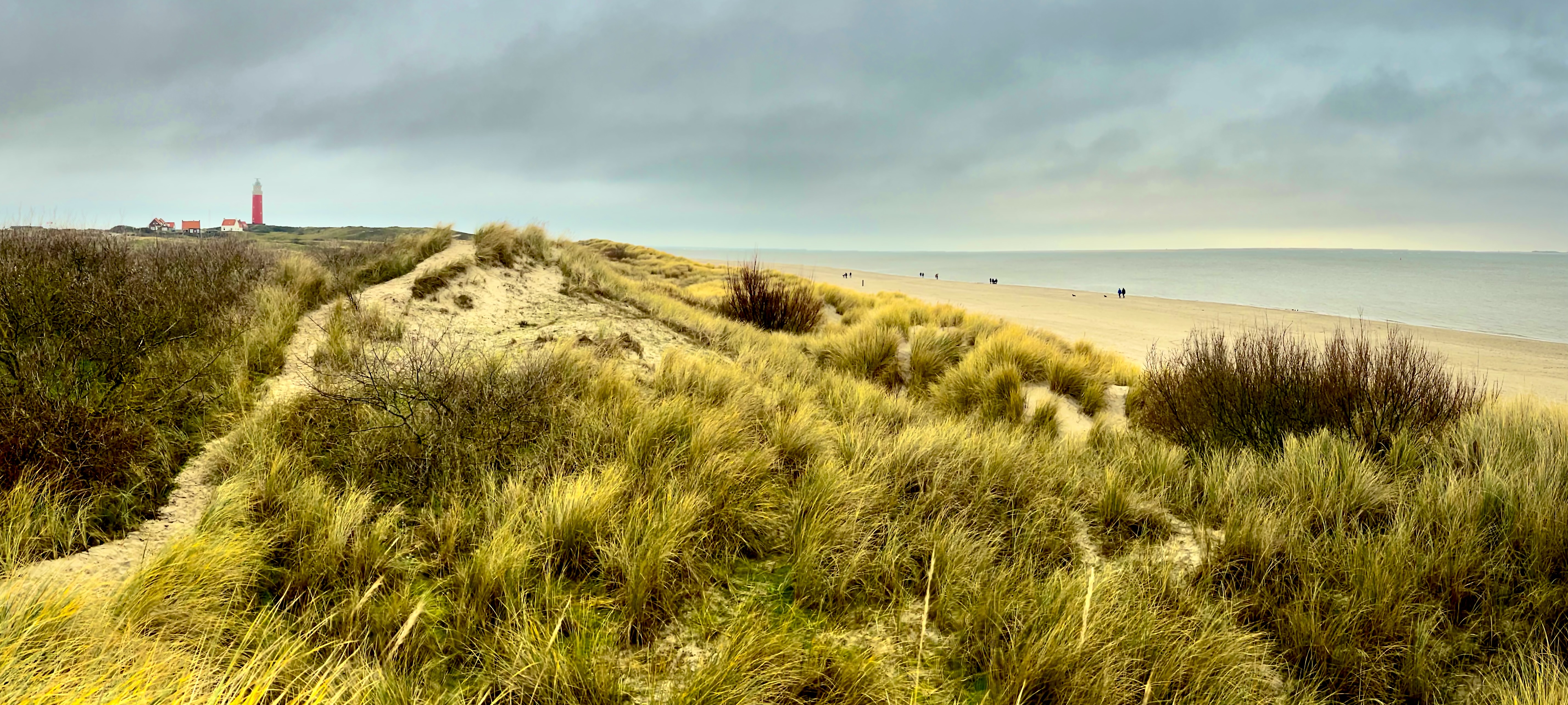 Dune landscape on Texel, Netherlands